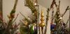 DSC_0017.thumb.JPG.e13a564e256786aee9d571618b5bf082.JPG