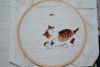DSC_0440.thumb.JPG.c17c8884263b86dafd6bbeec22de3598.JPG