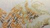 DSC_0718.thumb.JPG.4c27244028f09dfd3c8c889bb0019ecb.JPG