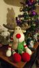 DSC_0731.thumb.JPG.e84df20061760d2092b8bb879a2bbc90.JPG