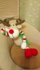 DSC_0733.thumb.JPG.9c515e2468bddeeac2e7c97843075e63.JPG