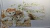 DSC_0801.thumb.JPG.5cf292abb92d0a37de2ddef7bc4c00d8.JPG