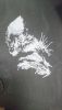 DSC_1081.thumb.JPG.66e7216127c402b7dd953393b0df1eb2.JPG