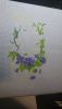DSC_1093.thumb.JPG.bc85e8c1989a271f57f0a507008f9780.JPG