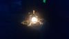 DSC_1119.thumb.JPG.e97308aa8843b66f3b00f8c2666e0d44.JPG