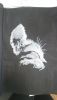 DSC_1125.thumb.JPG.ce025e6be6066caf5ff7785801738af4.JPG