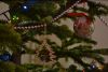 DSC_2066.thumb.JPG.393029aa0b845247aae1af5abb9bc35b.JPG