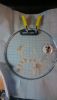 DSC_2079.thumb.JPG.490564309367f0fae38b8ef8ed6955d5.JPG