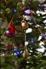 DSC_2080.thumb.JPG.a30ec6a76f778b73e6ac919ea8daaa19.JPG