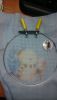DSC_2086.thumb.JPG.bc8d97bd21f23f0b674eaee7604947da.JPG