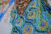 DSC_2415.thumb.JPG.ab21e1d194c9207f984701332c31e1d0.JPG