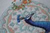 DSC_2469.thumb.JPG.a2b90b6b6bf38aa597aef64e9631be4a.JPG