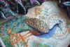 DSC_2507.thumb.JPG.b8b10e0a6f670283b9318dd6f053a27e.JPG