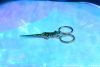DSC_8593.thumb.JPG.e8419cc46308f2304fcab9f5d817357c.JPG