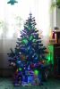 DSC_8840.thumb.JPG.77bbc38509e36bac86b18a7ae1ebd14c.JPG