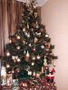 IMG-20190105-WA0006.thumb.jpg.56b752c3edcc998aa5419de1d07041ee.jpg