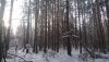 IMG-20190118-WA0005.thumb.jpeg.7adffd2c209aa1413022394cb42cd44b.jpeg