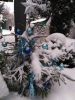 IMG_20190103_104751.thumb.jpg.8d53c032c46a12c3e8a817078b4a428c.jpg