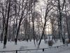 IMG_20190104_101437.thumb.jpg.2fa9e45a3de251e87c5f7e246e6671bf.jpg