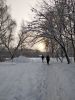 IMG_20190104_101508.thumb.jpg.b575ee6be044c8a421a7efb3183333cd.jpg