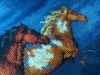 IMG_20190107_082943.thumb.jpg.f27f3a116721fd094af7167795e370a9.jpg