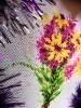 IMG_20190110_150501.thumb.jpg.5b55082f48a8490fcd272e11d94cfb97.jpg