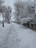 IMG_20190116_123800.thumb.jpg.2e095124ff9dc6df8f3890aa86572fed.jpg