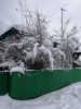 IMG_20190116_124158.thumb.jpg.efb5041d0e65090755869dfde9ea74a1.jpg