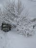 IMG_20190116_125141.thumb.jpg.283e652a345570e2027b8a707e38c462.jpg