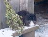 IMG_2758.thumb.jpg.38ef923cecfa844cc5f764b07fbf549b.jpg