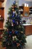 IMG_5117-1.thumb.jpg.7668c89a4b890fa32bc1471c9568faaa.jpg