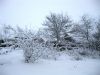 IMG_6613.JPG