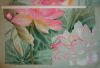 Lotuses10.thumb.JPG.fdff4e632041765d158e541921d2ae84.JPG