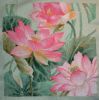 Lotuses12.thumb.JPG.b468af947296cd31bea04a9989a8daa8.JPG