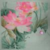Lotuses9.thumb.JPG.6343607be65d45f6cf490203a785f7cf.JPG