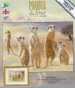 Meerkats.thumb.jpg.6366de98fa3ba47724add5d54f37deb9.jpg