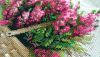 P_20190128_170433_vHDR_On.thumb.jpg.391d03b2d88b035e390d84adf426bcbb.jpg