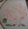 Peonies12.thumb.JPG.4ef815e6359e33f2c2ee4feb1832edfc.JPG