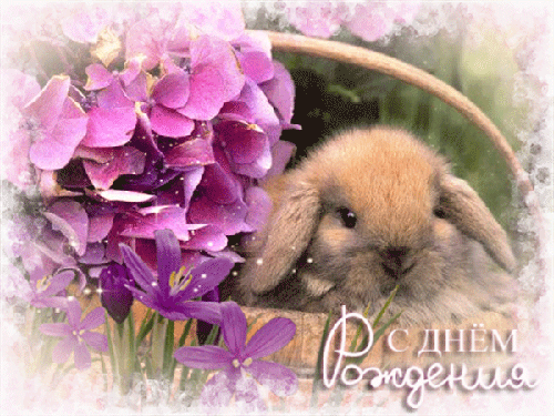 gifki-s-dnyom-rozhdeniya-zhenshine-krasivaya-20.thumb.gif.e6cf21354bf67d1e1e16e0f4b5abee04.gif