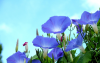 image.thumb.png.775417bd40c894d0e762b95e39531650.png