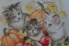 80. Котята и времена года (46) (ноябрь 2018).JPG