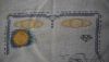 1623828771_597..thumb.JPG.ff1935dc84a60ba4ec3d449aa7d463c9.JPG