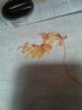 20181119_224649.thumb.jpg.a2ee084e03637dbb5f4a7740346f162e.jpg