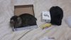 20190113_223442.thumb.jpg.958d5d5bdca602cc6a2029dff4a3aee9.jpg