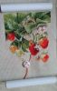 20190129_115354.thumb.jpg.fc323c2107ee3b248c652fdbed4ba94e.jpg