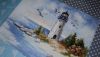 20190220_073103.thumb.jpg.fb7949f1ae41398a3722a576fbedb8ff.jpg