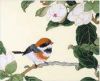Xiu Crafts 2030843 (2800143), Aroma All Around