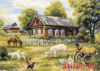 Риолис (Сотвори Сама) 1501, Деревенский полдень
