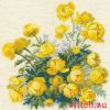 32136.thumb.jpg.617e50e121978590cf036533aed9d8a7.jpg