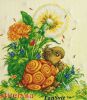 35495.thumb.jpg.3f3793da4bb12d50ce078dfbbf5de62e.jpg
